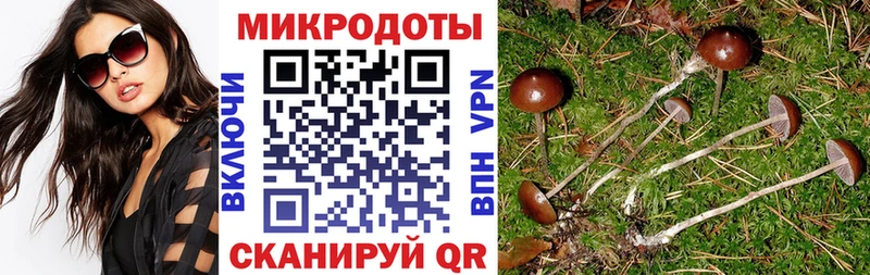 Псилоцибиновые грибы Cubensis  Березники 